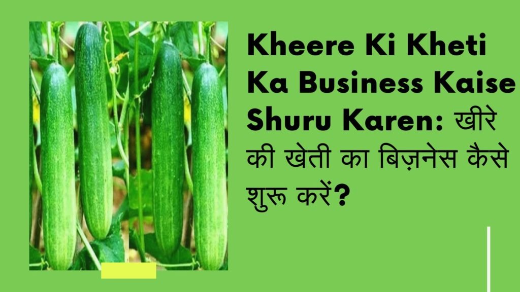 Kheere Ki Kheti Ka Business Kaise Shuru Karen: खीरे की खेती का बिज़नेस कैसे शुरू करें?