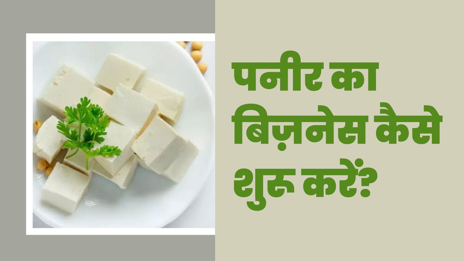 Paneer Ka Business Kaise Shuru Karen: पनीर का बिज़नेस कैसे शुरू करें?